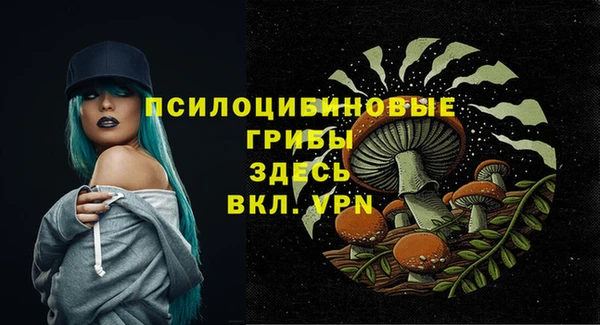Альфа ПВП Бронницы