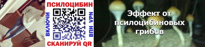Псилоцибиновые грибы Magic Shrooms  где найти наркотики  Княгинино 