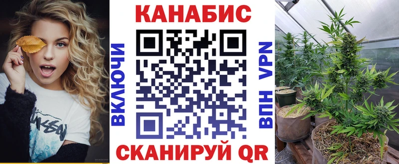 купить наркоту  Княгинино  Конопля план 